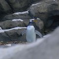 P1080950.jpg