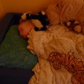 P1090050.jpg