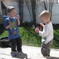 IMG_7761.jpg