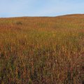P9161300.jpg