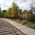 PA061593.jpg