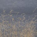 PB040923.jpg