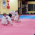 PC131531.jpg