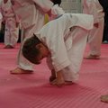 PC131600.jpg