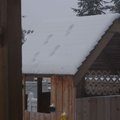PC251937.jpg