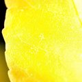 leaf1.jpg