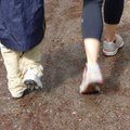 P1050791.jpg
