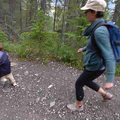 vid_run_downhill.png