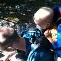 IMG_1305.jpg