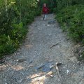 IMG_1273.jpg