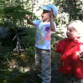 IMG_1282.jpg