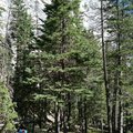 IMG_1284.jpg