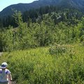 IMG_1289.jpg
