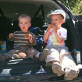 IMG_1291.jpg