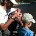 IMG_1431.jpg