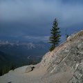 IMG_1446.jpg