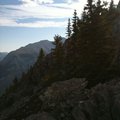 IMG_1455.jpg