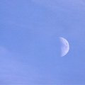 moon1.jpg
