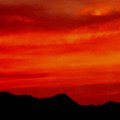sunset5.jpg