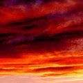 sunset6.jpg
