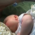 IMG_0464.jpg