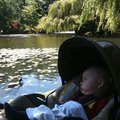 IMG_0669.jpg
