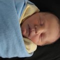 IMG_1973.jpg
