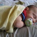 IMG_2237.jpg