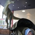IMG_2320.jpg