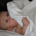 IMG_0052.jpg
