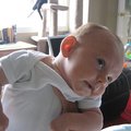 IMG_2420.jpg