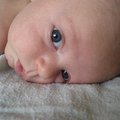 IMG_2433.jpg