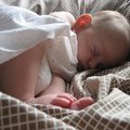 IMG_2476.jpg