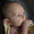 IMG_2497.jpg