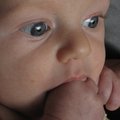 IMG_2499.jpg