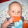 IMG_3079.jpg