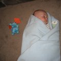 IMG_3110.jpg