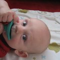 IMG_3404.jpg