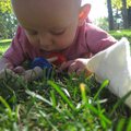 IMG_3543.jpg
