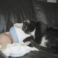 IMG_3578.jpg