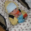 IMG_3743.jpg