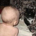 IMG_3761.jpg