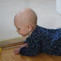 PC032204.jpg