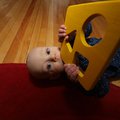 PC253174.jpg