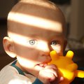 PC283322.jpg