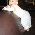 IMG_4257.jpg