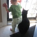 IMG_4393.jpg