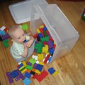 IMG_4526.jpg