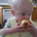IMG_4537.jpg