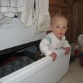 IMG_4741.jpg